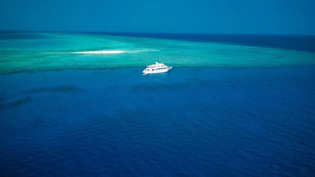 Lighthouse Miracle-1