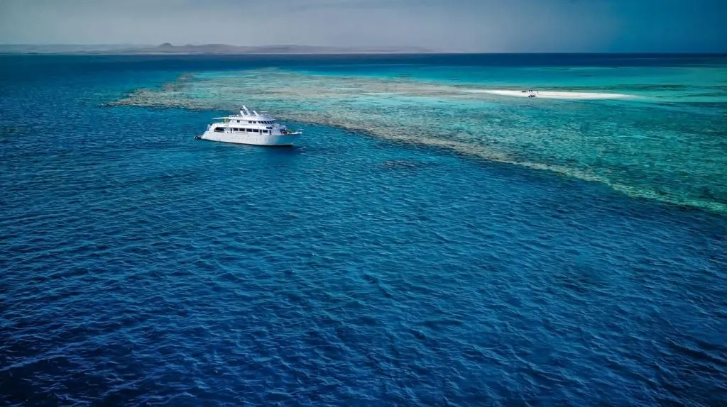 Lighthouse Miracle-1