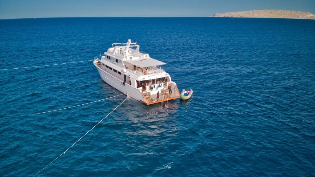 Lighthouse Miracle-1