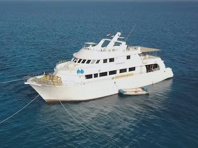 Lighthouse Miracle-1