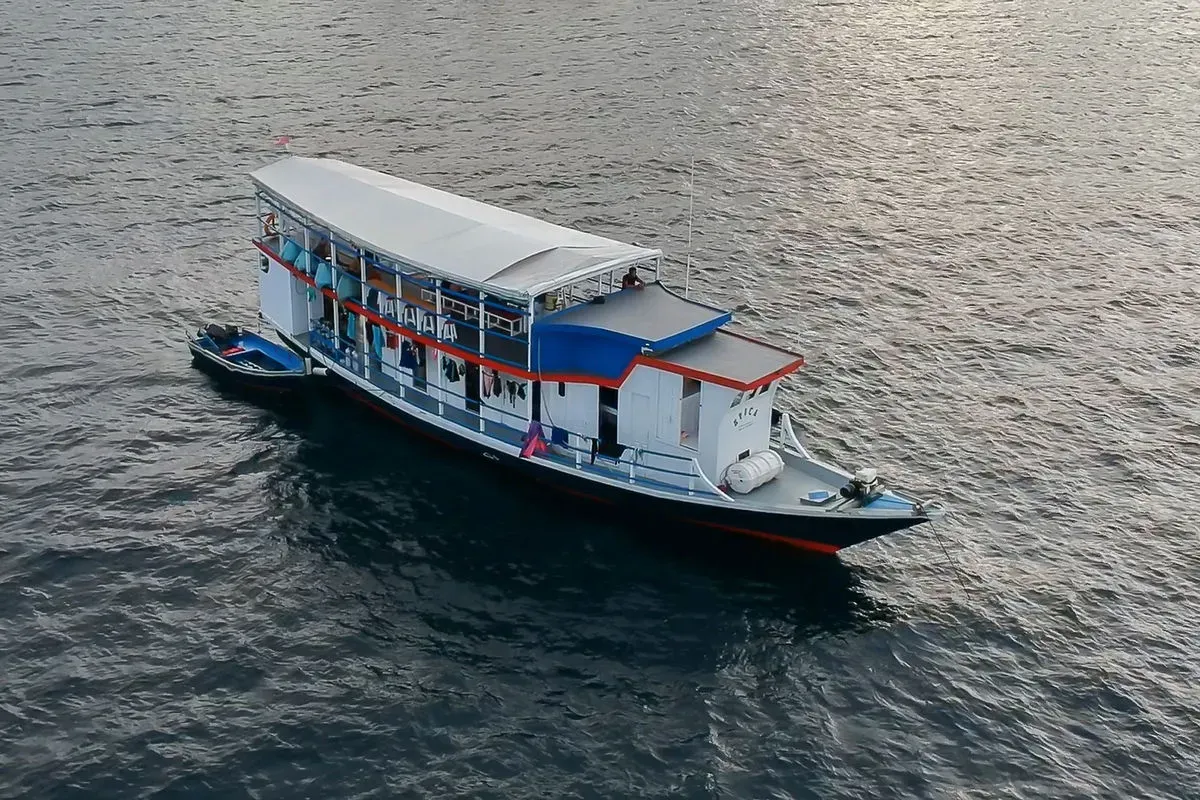 Malaillo — фото 5, дайвинг Индонезия