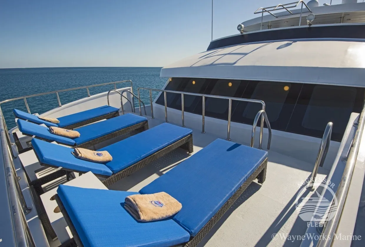 Maldives Aggressor II — фото 17, дайвинг Мальдивы