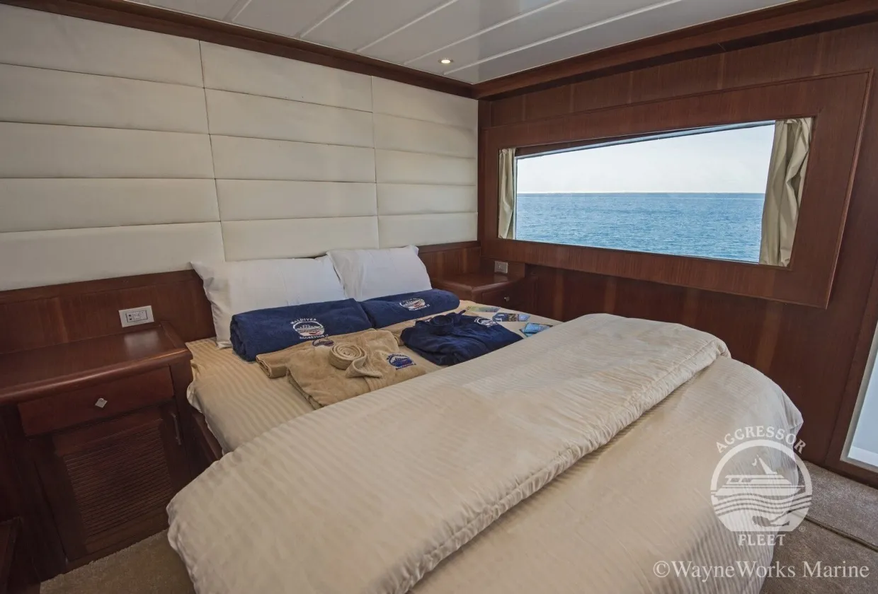 Maldives Aggressor II — фото 18, дайвинг Мальдивы