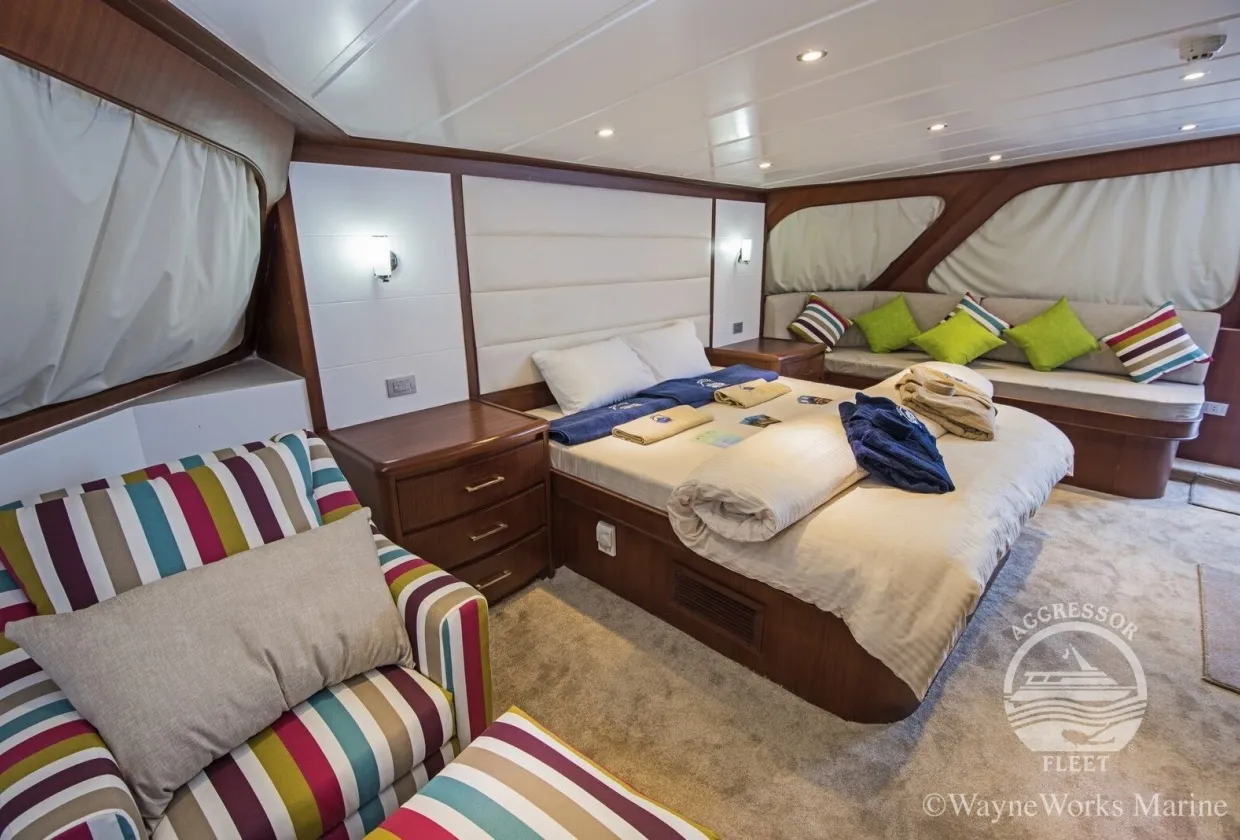 Maldives Aggressor II — фото 20, дайвинг Мальдивы