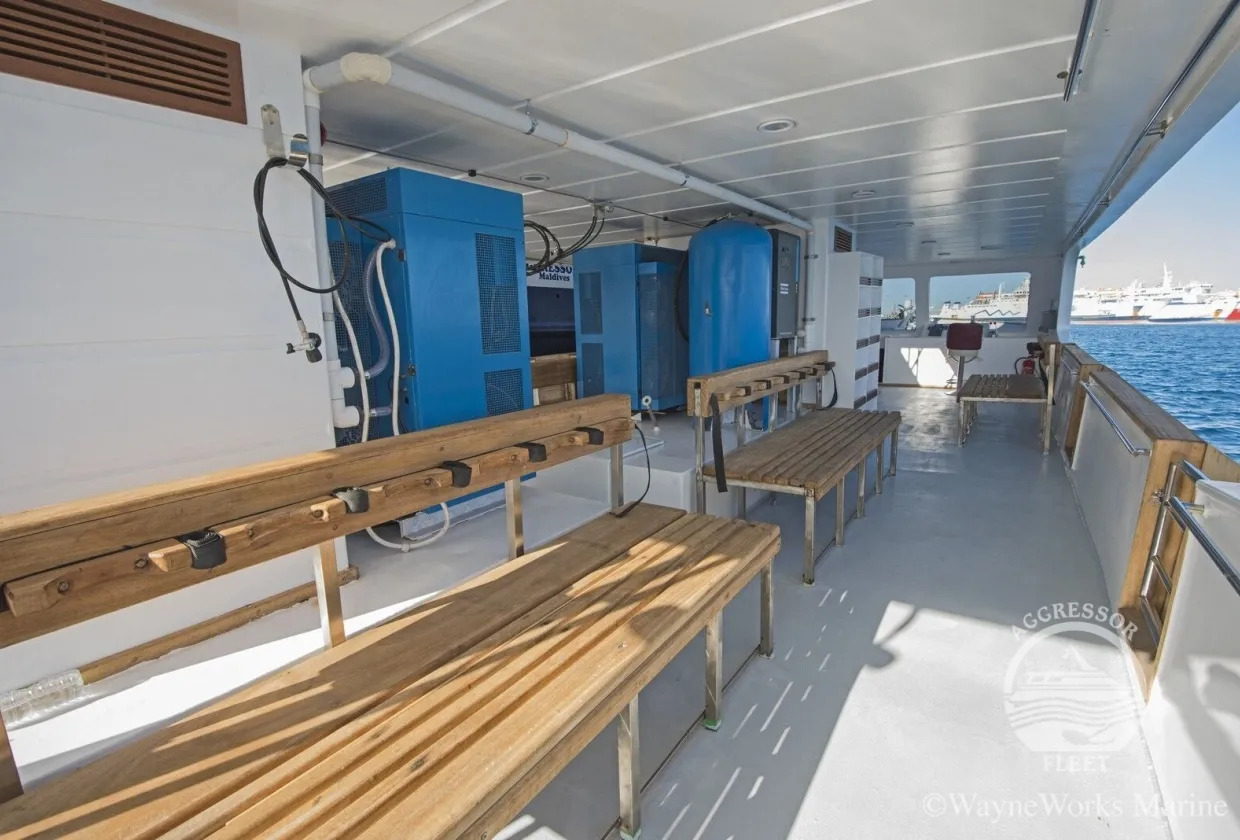 Maldives Aggressor II — фото 21, дайвинг Мальдивы