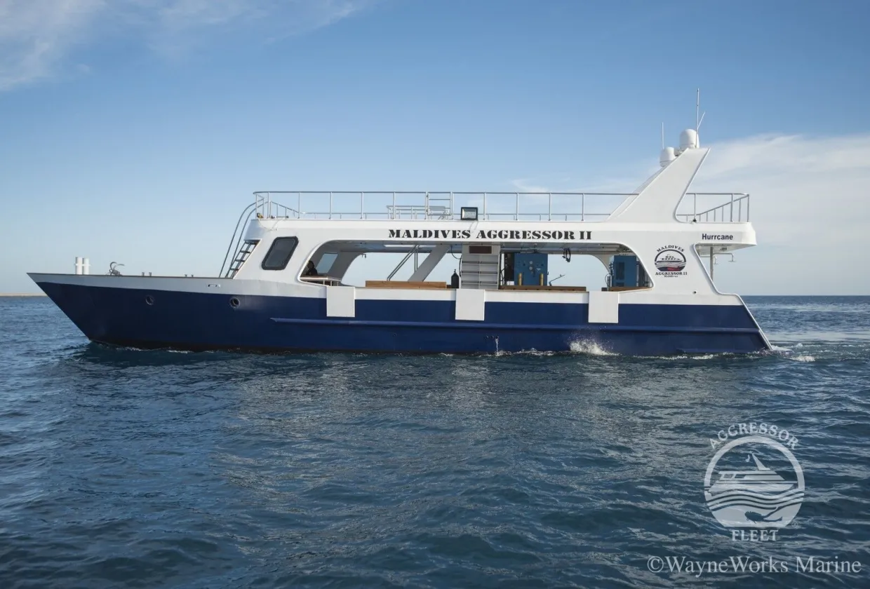 Maldives Aggressor II — фото 22, дайвинг Мальдивы