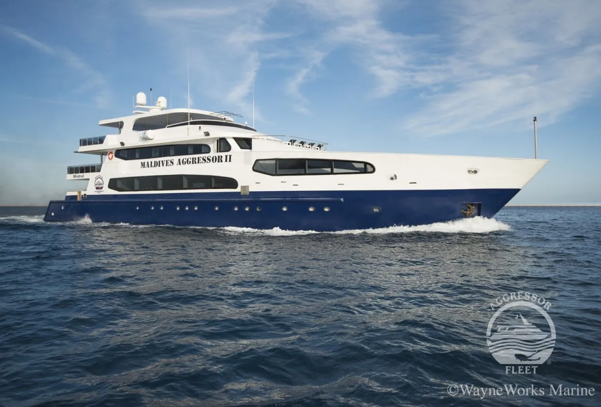 Maldives Aggressor II — фото 24, дайвинг Мальдивы