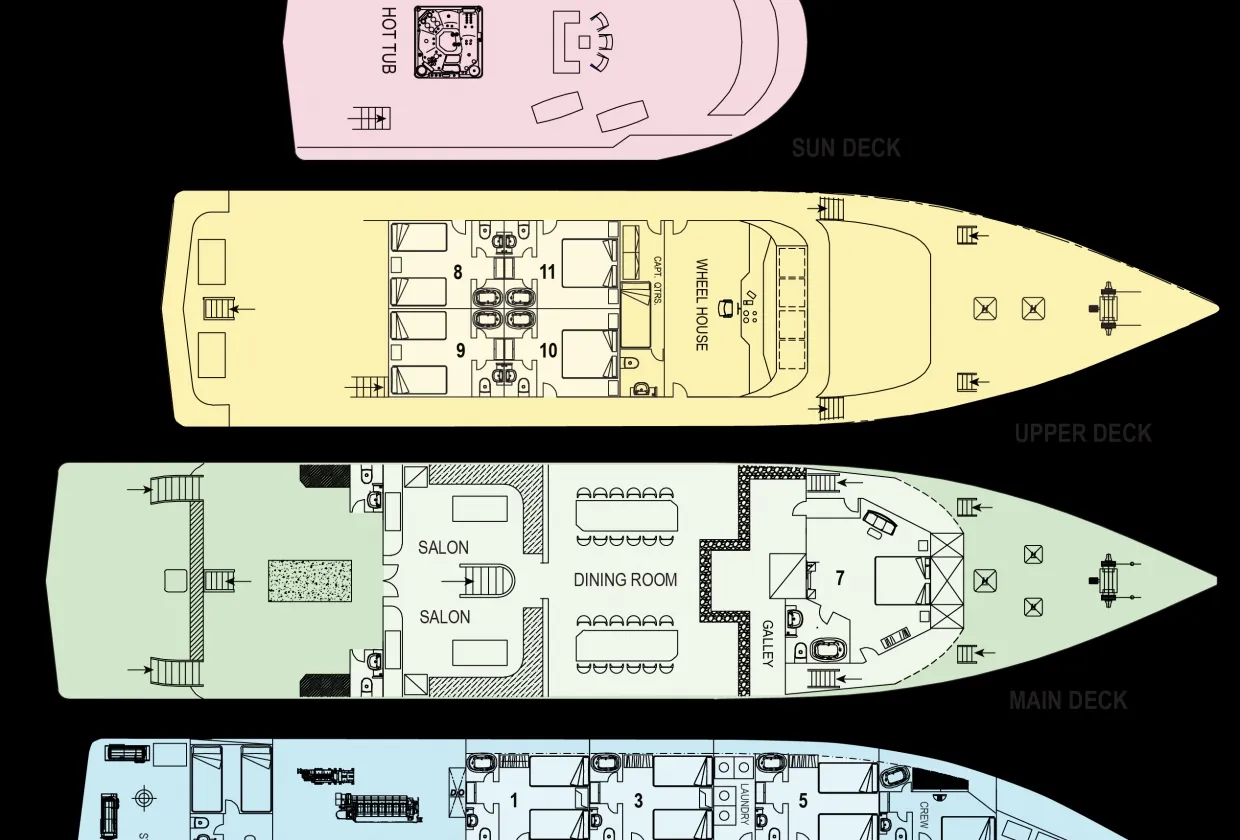 Maldives Aggressor II — фото 25, дайвинг Мальдивы