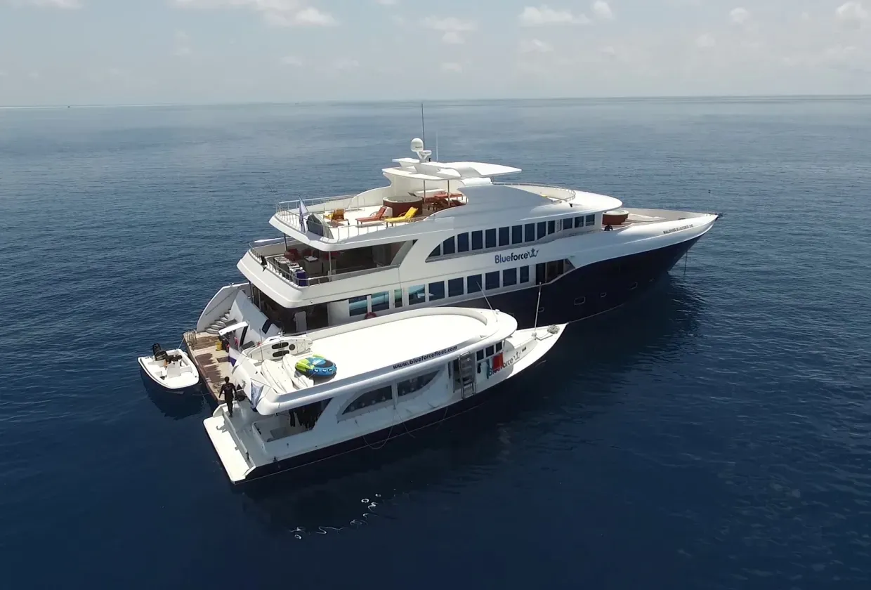 Maldives Blue Force One