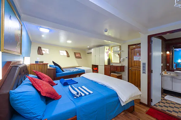 Maldives Legend Zen — фото 11, дайвинг Мальдивы