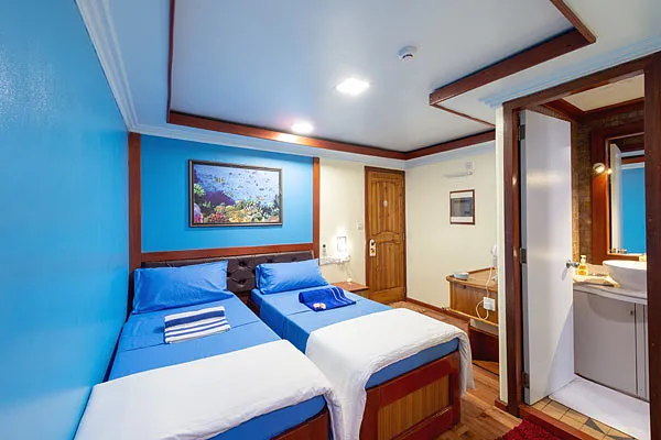 Maldives Legend Zen — фото 14, дайвинг Мальдивы