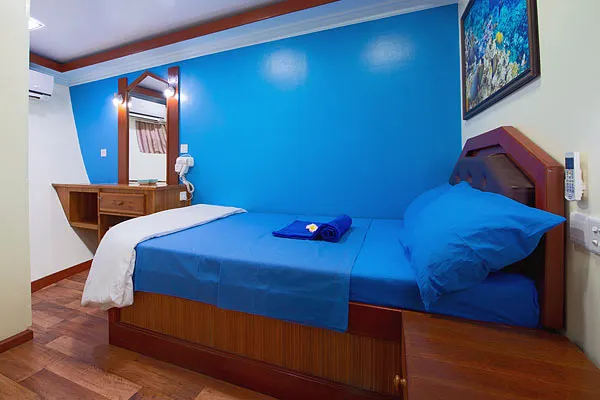 Maldives Legend Zen — фото 16, дайвинг Мальдивы