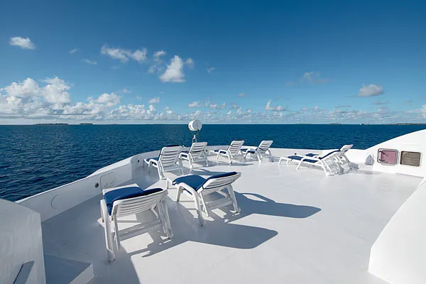 Maldives Legend Zen — фото 17, дайвинг Мальдивы