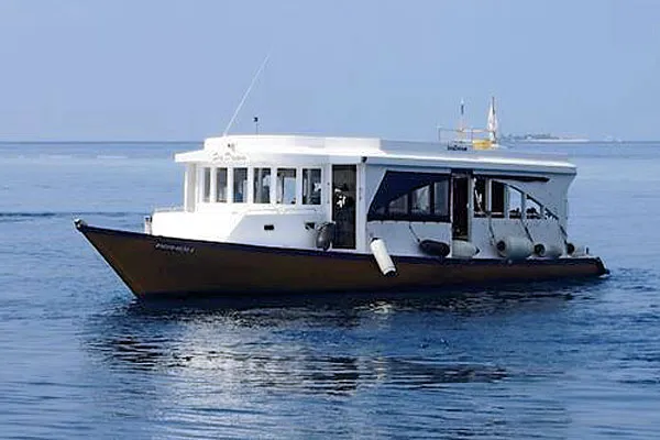 Maldives Legend Zen — фото 19, дайвинг Мальдивы