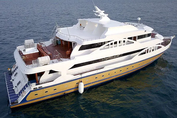 Maldives Legend Zen — фото 21, дайвинг Мальдивы