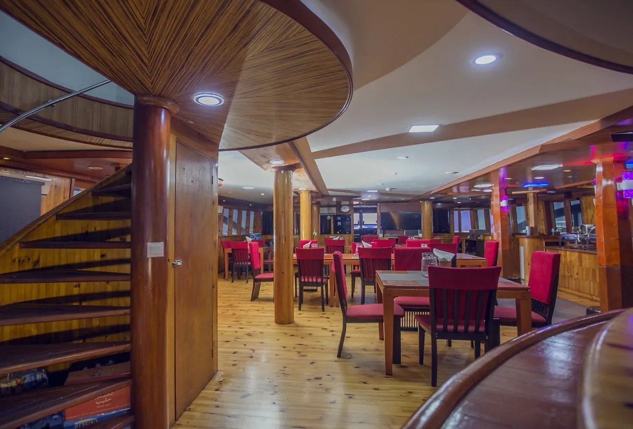 Maldives Legend Zen — фото 22, дайвинг Мальдивы