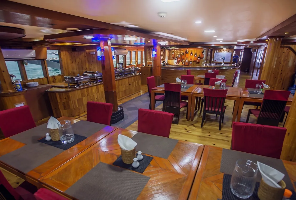 Maldives Legend Zen — фото 24, дайвинг Мальдивы