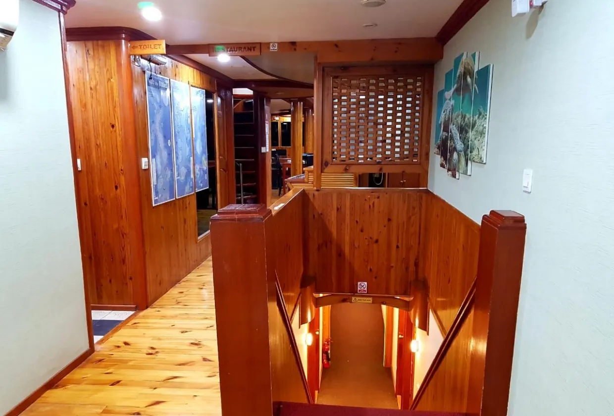 Maldives Legend Zen — фото 26, дайвинг Мальдивы