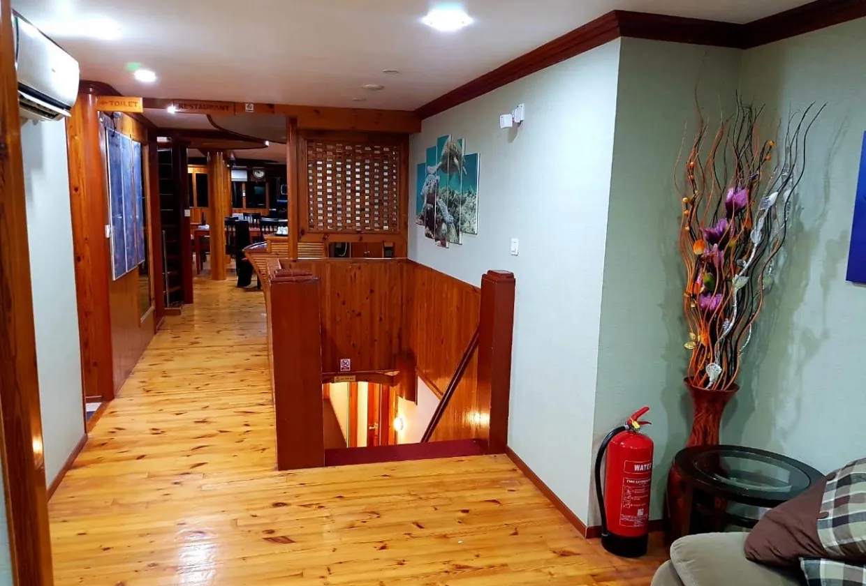 Maldives Legend Zen — фото 27, дайвинг Мальдивы