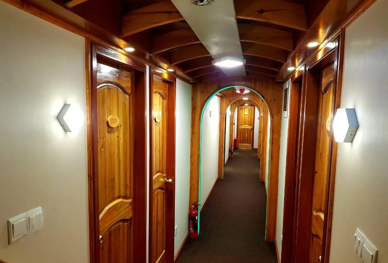 Maldives Legend Zen — фото 28, дайвинг Мальдивы