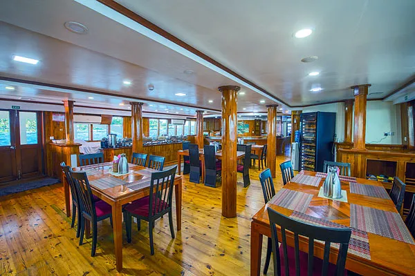 Maldives Legend Zen — фото 3, дайвинг Мальдивы