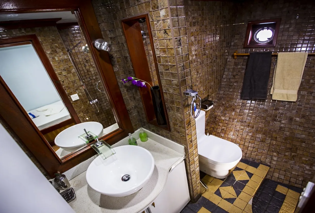 Maldives Legend Zen — фото 32, дайвинг Мальдивы