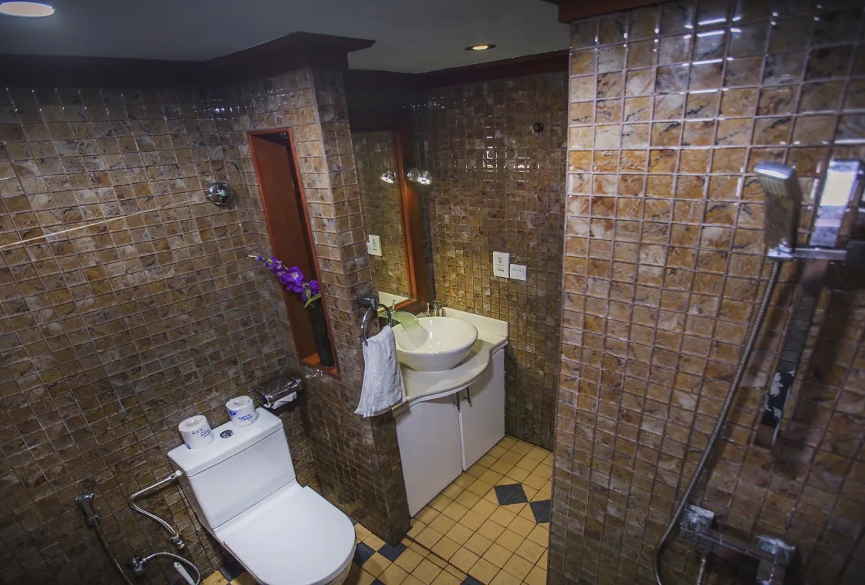 Maldives Legend Zen — фото 34, дайвинг Мальдивы