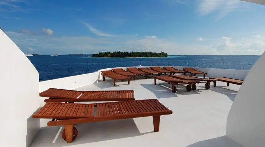 Maldives Legend Zen — фото 36, дайвинг Мальдивы