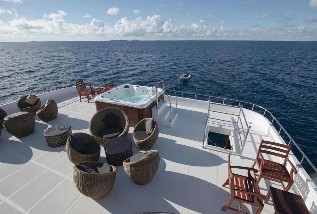 Maldives Legend Zen — фото 37, дайвинг Мальдивы