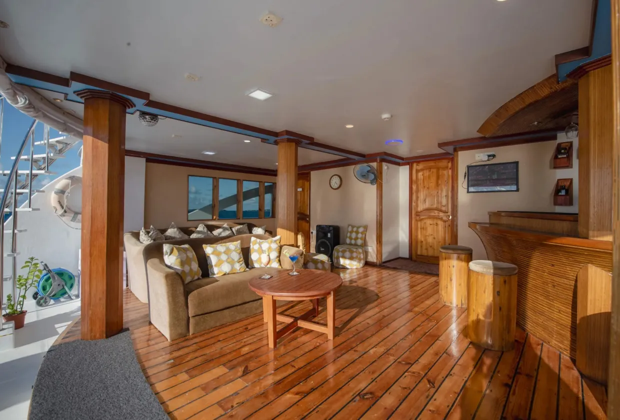 Maldives Legend Zen — фото 40, дайвинг Мальдивы