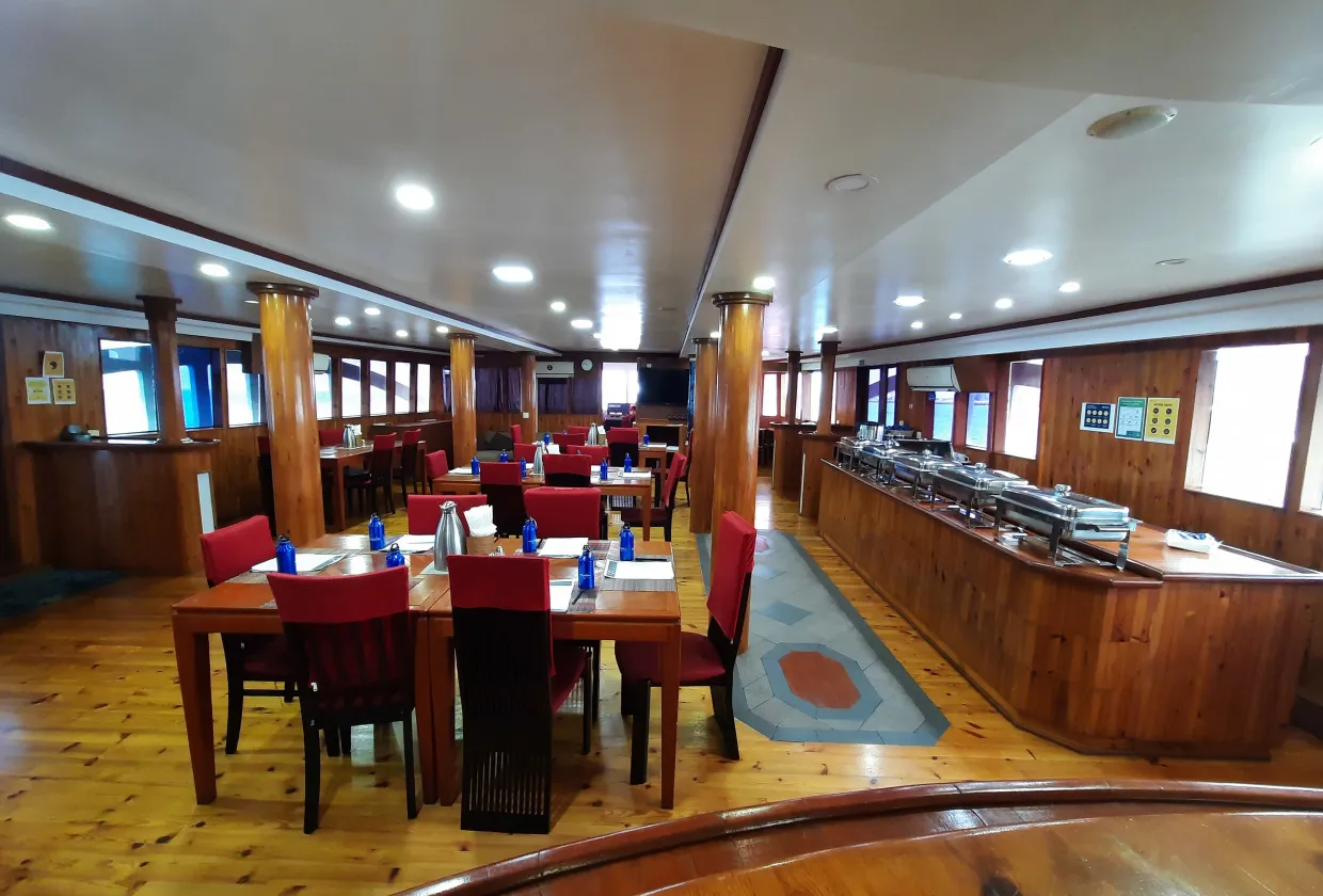 Maldives Legend Zen — фото 47, дайвинг Мальдивы