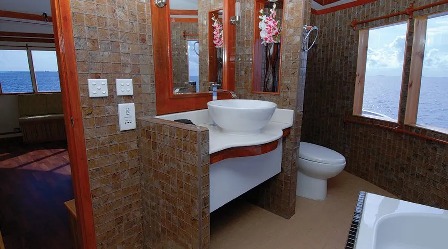 Maldives Legend Zen — фото 50, дайвинг Мальдивы