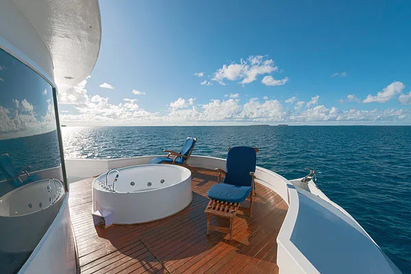 Maldives Legend Zen — фото 8, дайвинг Мальдивы