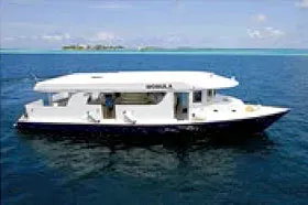 Яхта Manta Cruise: дайвинг-дони.