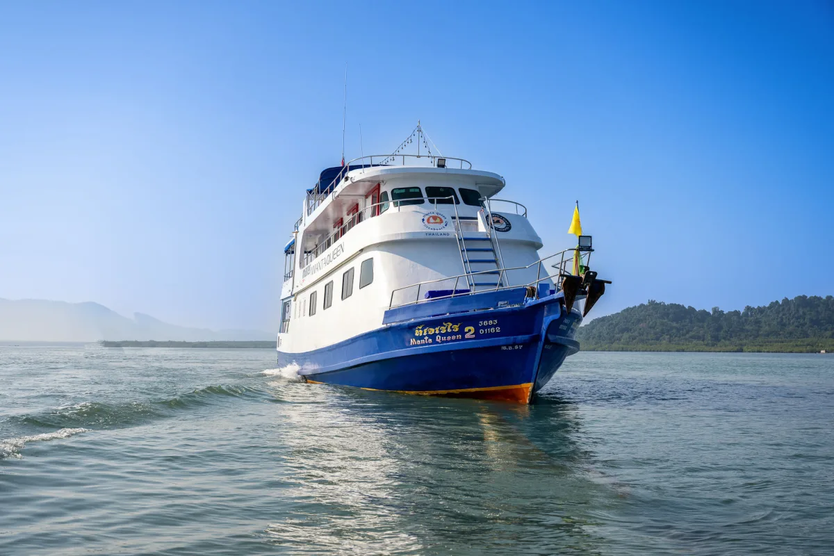Manta Queen 2 running bow-on across calm water