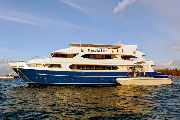 Дайв-сафари на Мальдивах на яхте Marselia Star