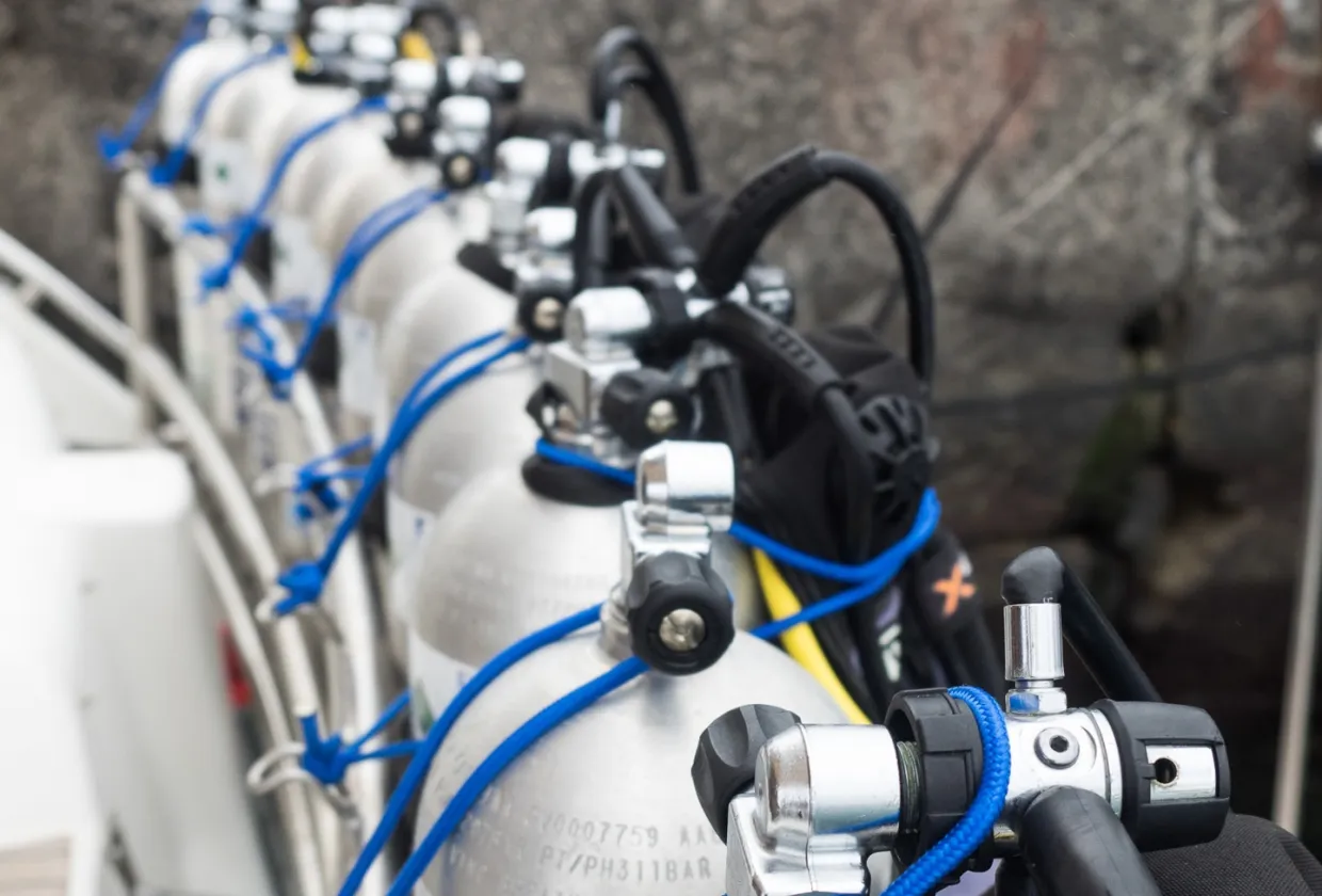 Narobla - ProWin Pronature Explorer