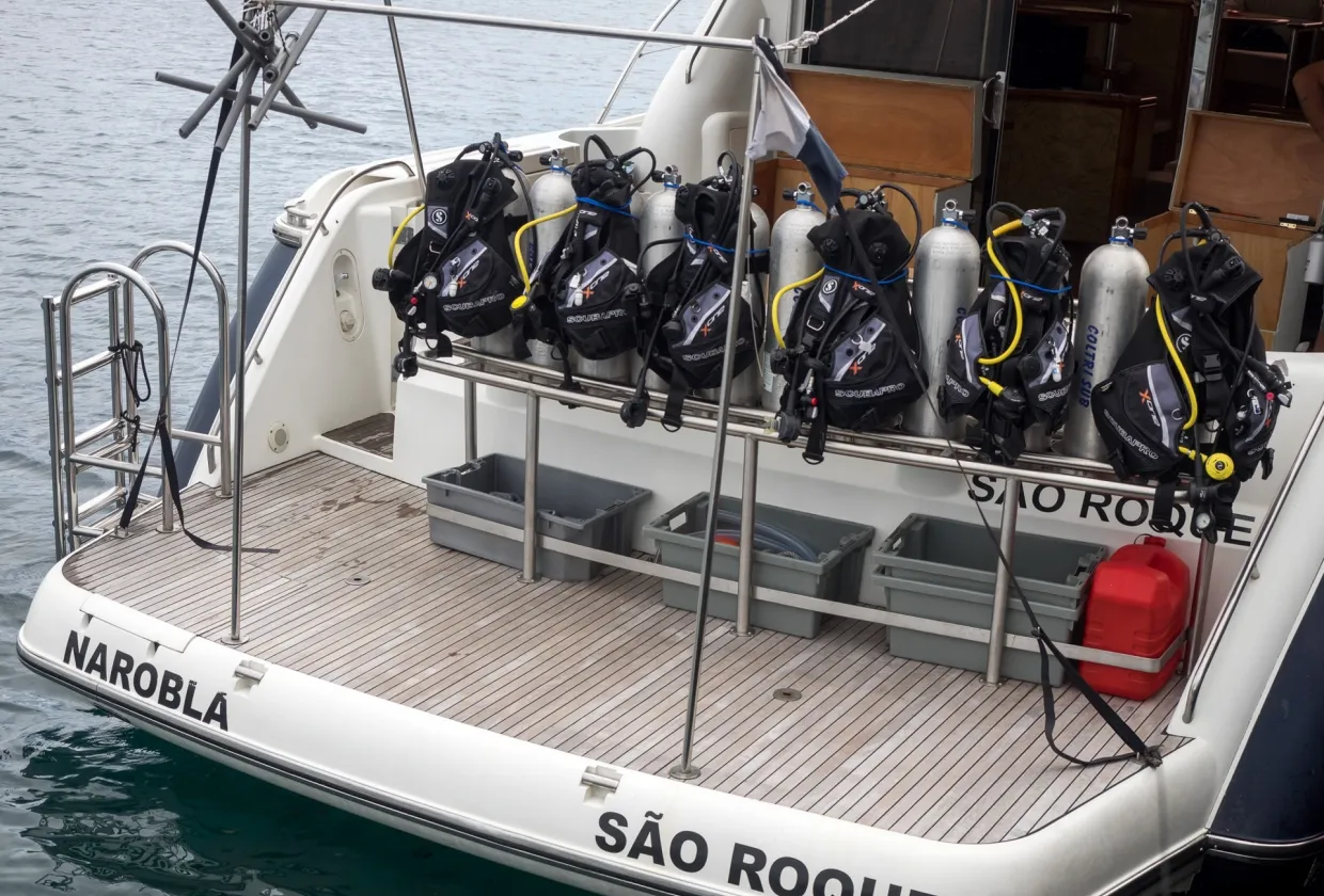 Narobla - ProWin Pronature Explorer