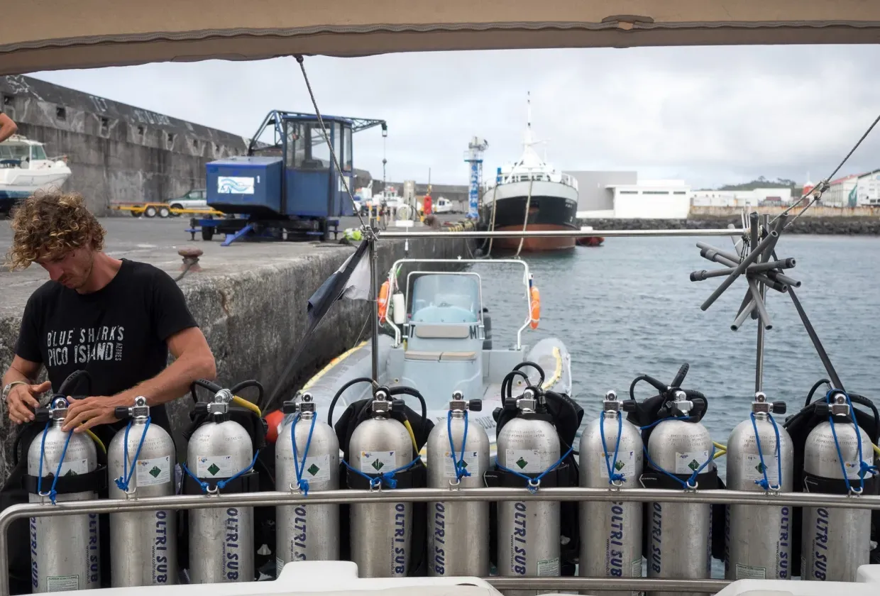 Narobla - ProWin Pronature Explorer