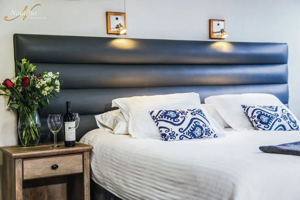 Nautilus Belle Amie — фото 11, дайвинг Мексика