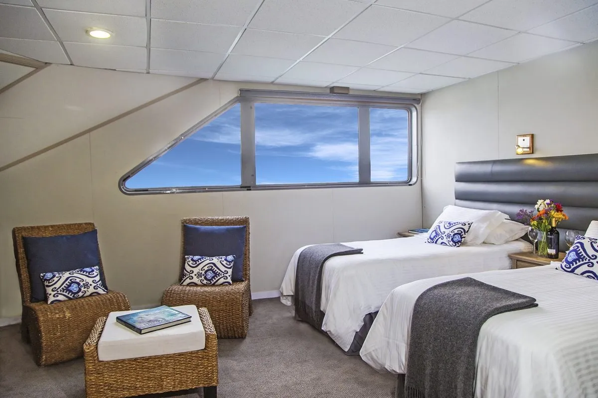 Nautilus Belle Amie — фото 12, дайвинг Мексика