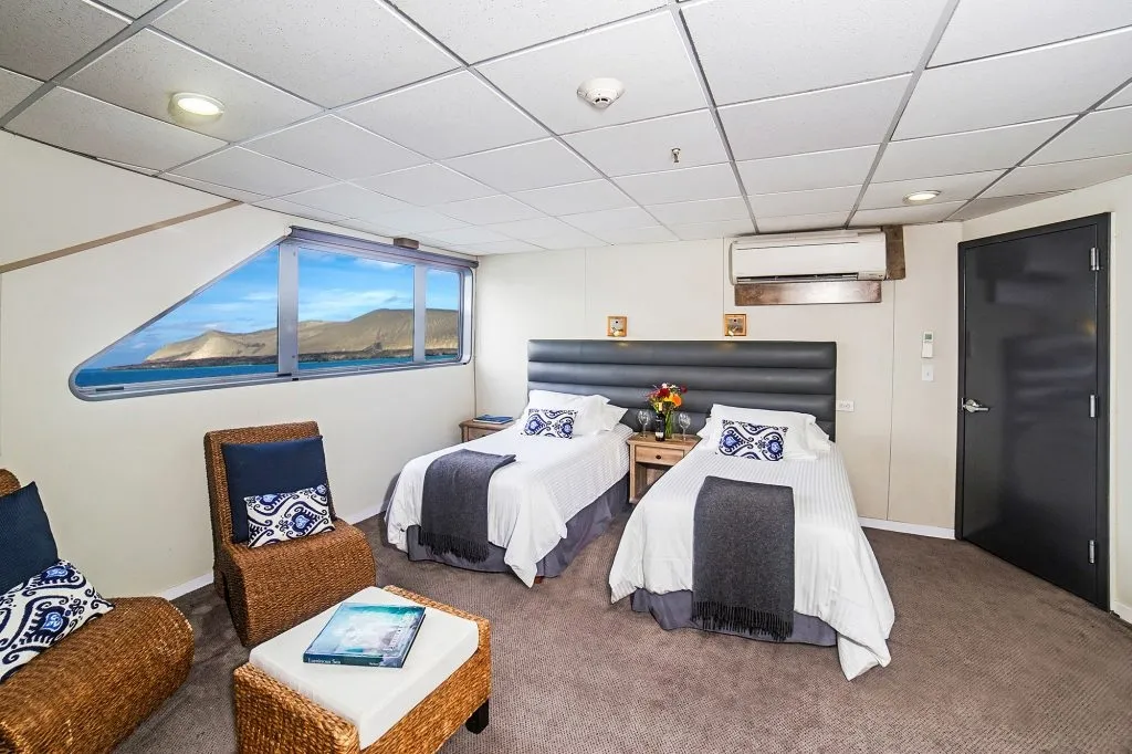 Nautilus Belle Amie — фото 13, дайвинг Мексика