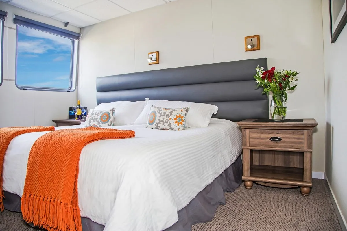 Nautilus Belle Amie — фото 15, дайвинг Мексика