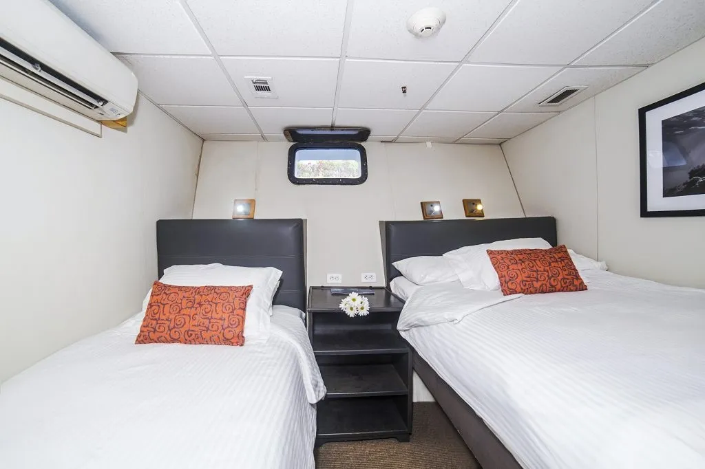 Nautilus Belle Amie — фото 17, дайвинг Мексика