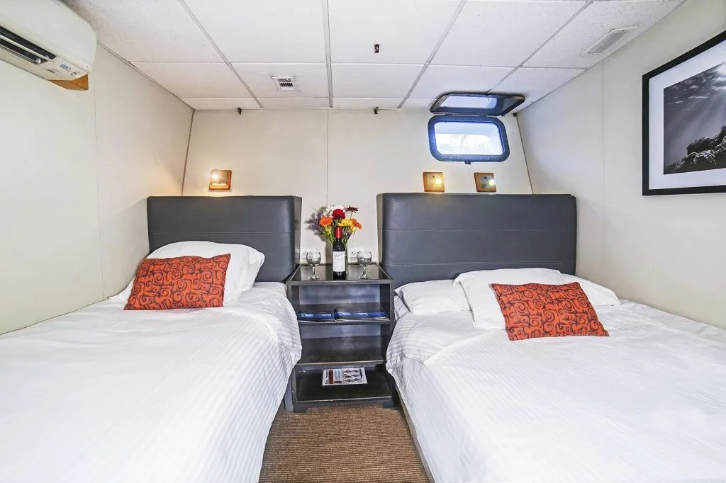 Nautilus Belle Amie — фото 18, дайвинг Мексика