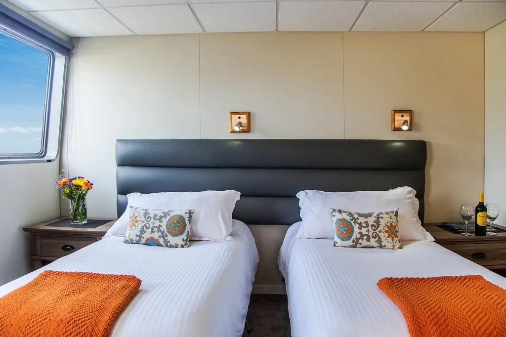 Nautilus Belle Amie — фото 19, дайвинг Мексика