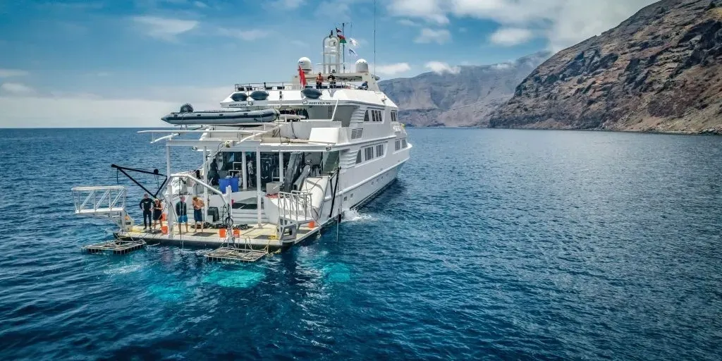 Nautilus Belle Amie — фото 2, дайвинг Мексика