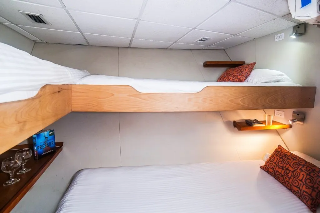 Nautilus Belle Amie — фото 21, дайвинг Мексика