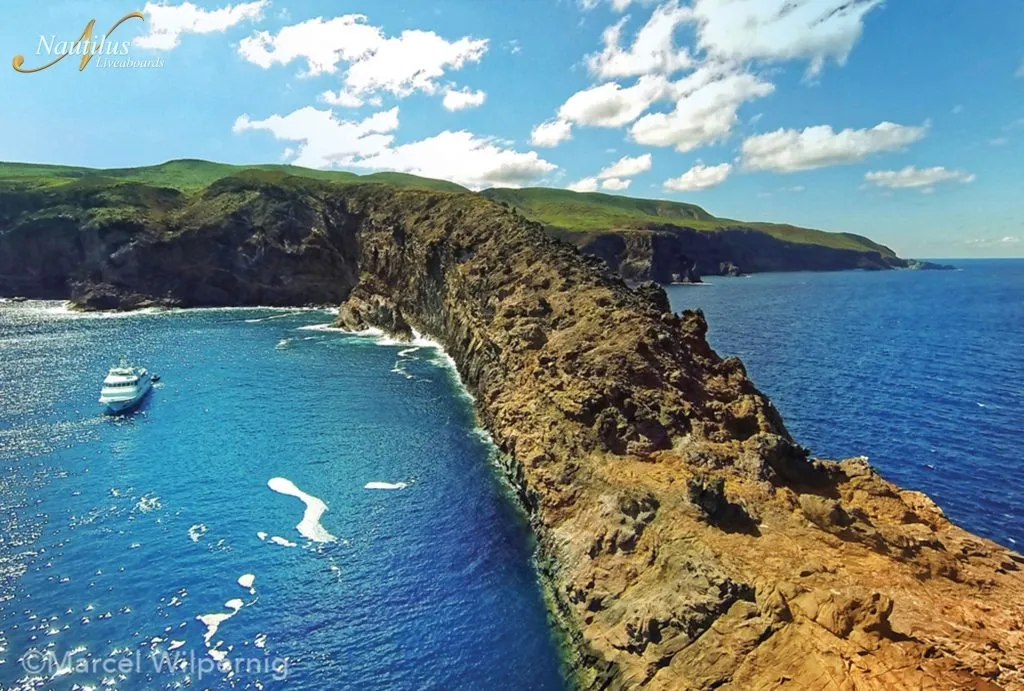 Nautilus Belle Amie — фото 23, дайвинг Мексика