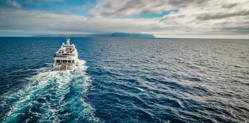 Nautilus Belle Amie — фото 4, дайвинг Мексика